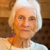 Roos Darcis