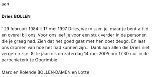 Dries Bollen