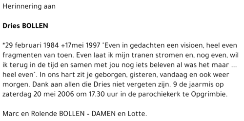 Dries Bollen