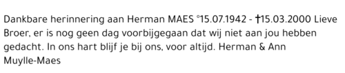  MAES
