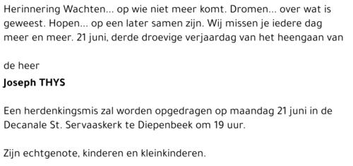 Joseph THYS