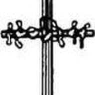 Paulina Hubertina Maria Quadvlieg