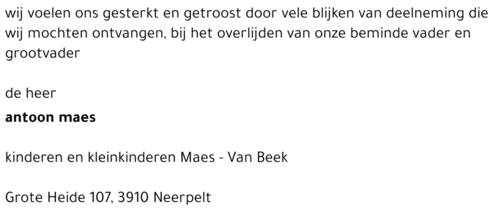 antoon maes