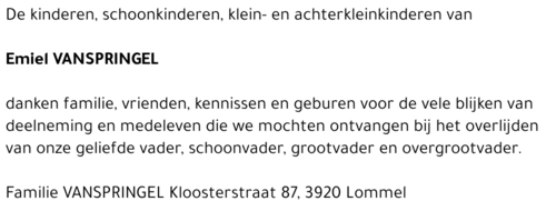 Emiel Vanspringel