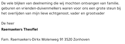 Theophiel Raemaekers