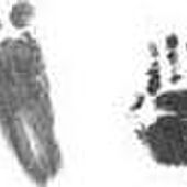 Seppe en Giel Rentmeesters