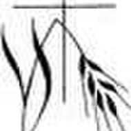 Martin(us Petrus) Volleberg