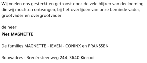 Piet Magnette