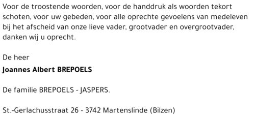 Albert Brepoels