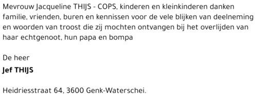 Jef THIJS