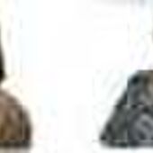 Marie-Florence DEMEULEMEESTER