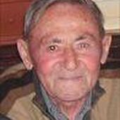 Leo (Leike) SAELMANS