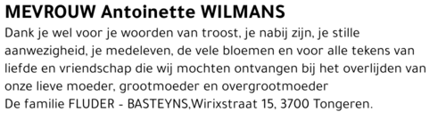 Antoinette Wilmans