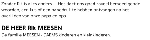 Rik MEESEN