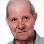 Johannes Louis MIEVIS