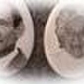 Celestin - Bertha Kloos - Cobben