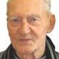 Julien VAN DEN MERGEL