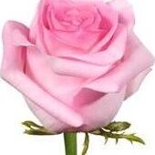 Marie Joseph PONCELET