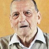 Arsile (Chille) Adons