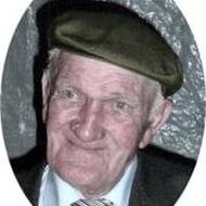 Nestor VAN DEN BOGAERDEN