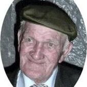 Nestor VAN DEN BOGAERDEN