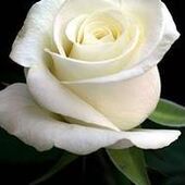 Marie-Louise LAMBRECHTS