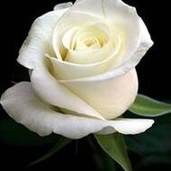 Marie-Louise HAUMONT