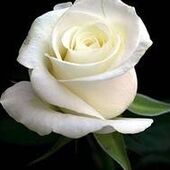 Marie-Louise HAUMONT