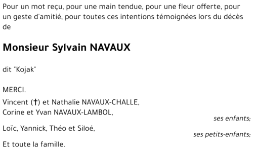 Sylvain NAVAUX