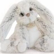 Stan Schouteden-Janssens