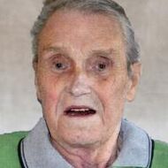 Henri (Rik) Witters11/03/1946