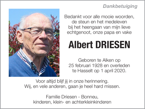 Albert Driesen