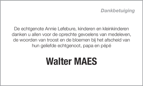Walter Maes