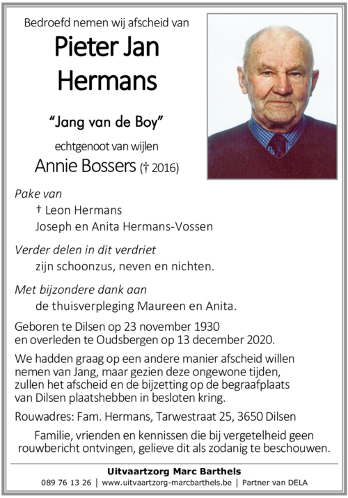 Pieter Jan Hermans