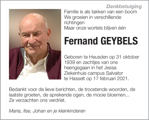 Fernand GEYBELS