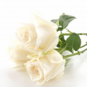 Marie-Christine GÉRIN