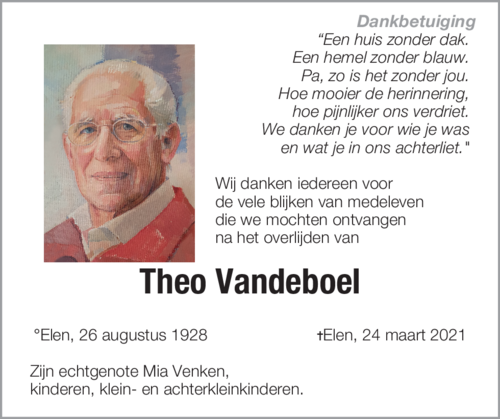 Theo Vandeboel