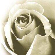 Marie-Louise Van Canneyt