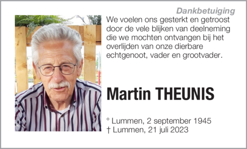 Martin THEUNIS