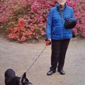 Leonie 'Lily' Blommen